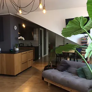 Little Lio Apartment Cavallino-Treporti